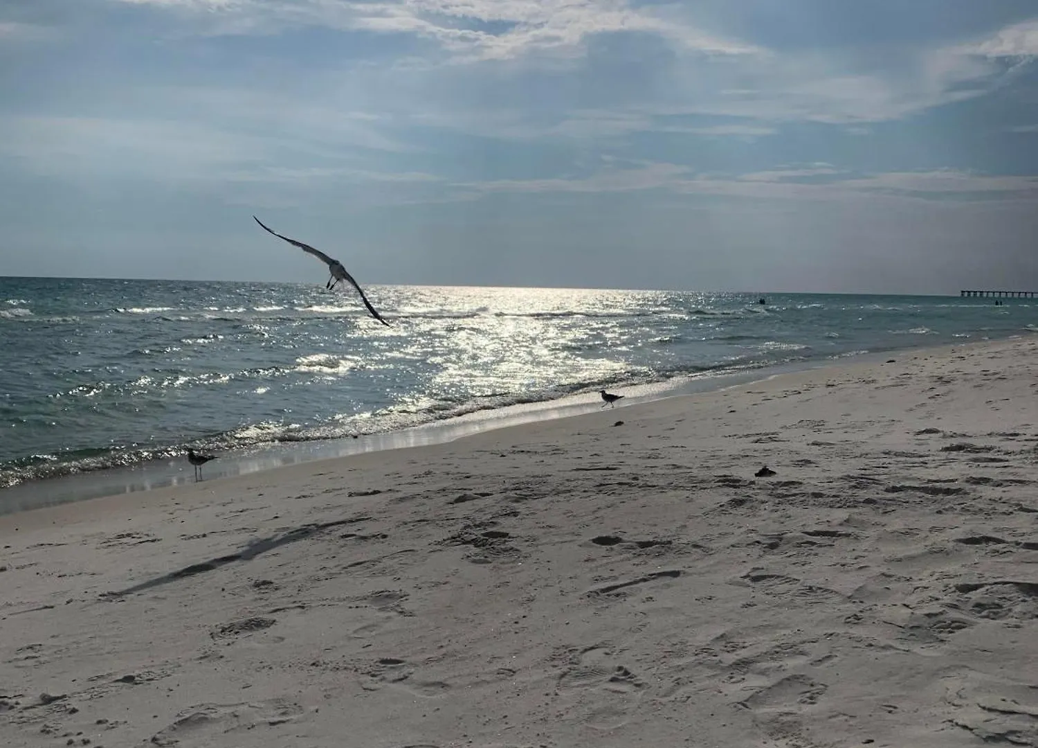 Dream Come True In Pcb Panama City Beach
